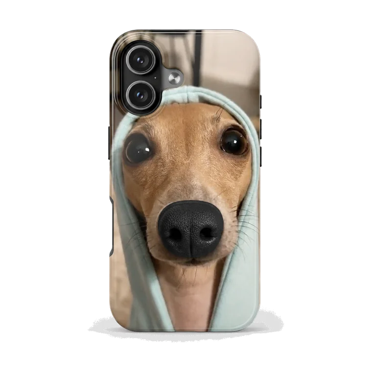 Galgo