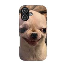 Chihuahua