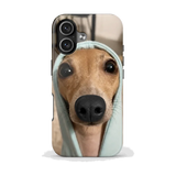 Galgo