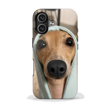 Galgo