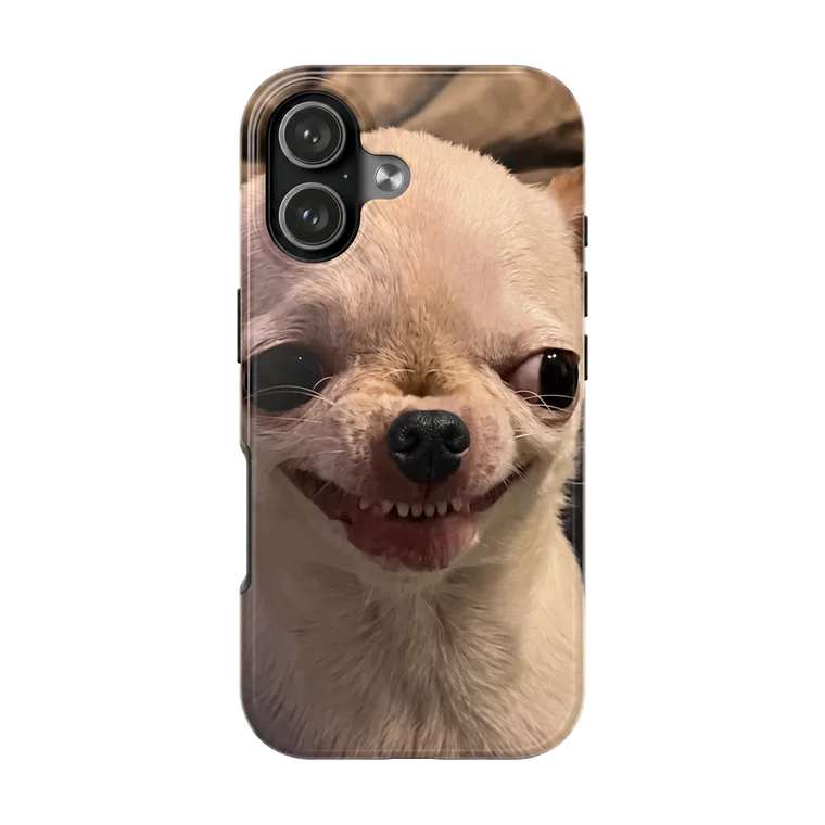 Chihuahua